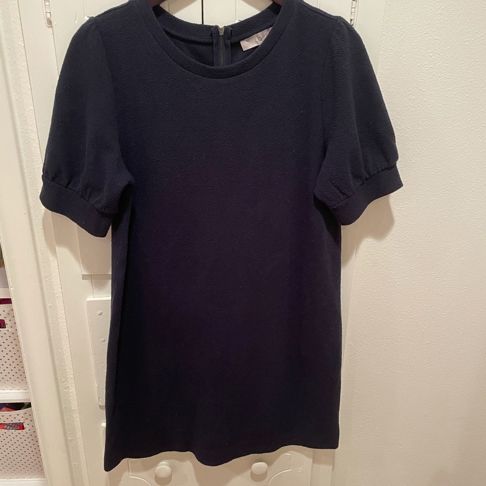 Loft Navy Dress